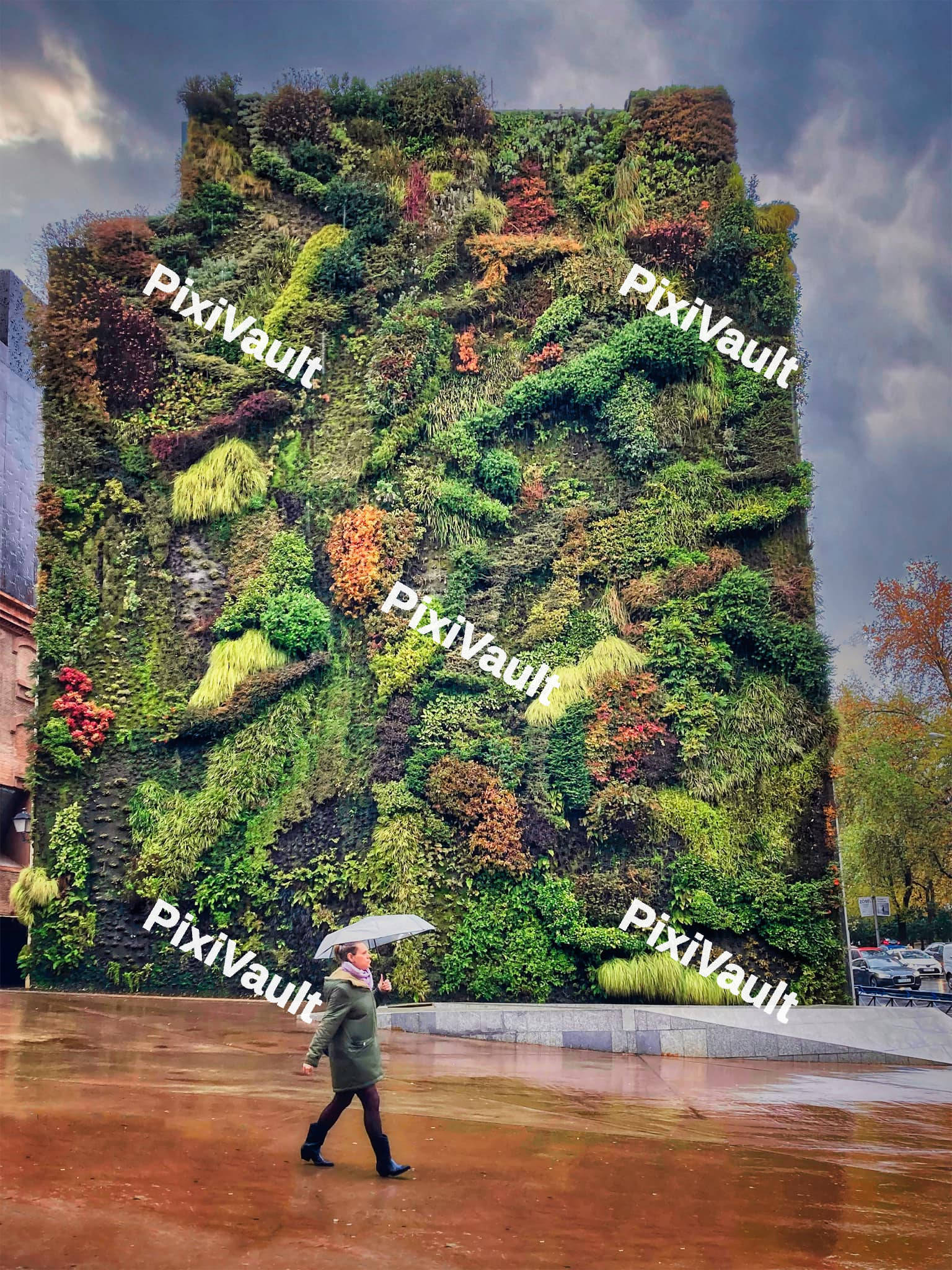 Garden wall